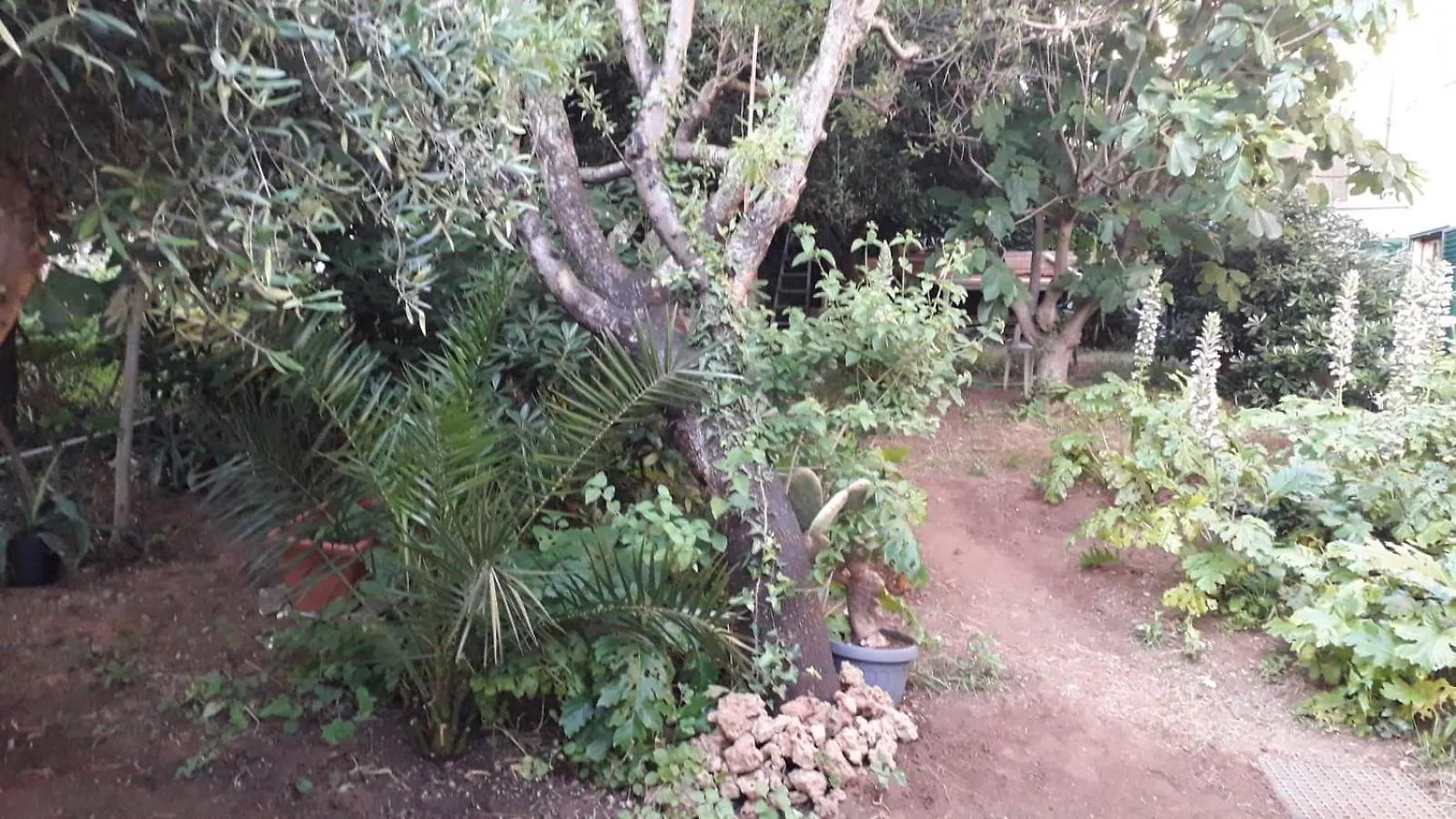 度假居 卡斯蒂利翁切洛A Garden On The Bay别墅