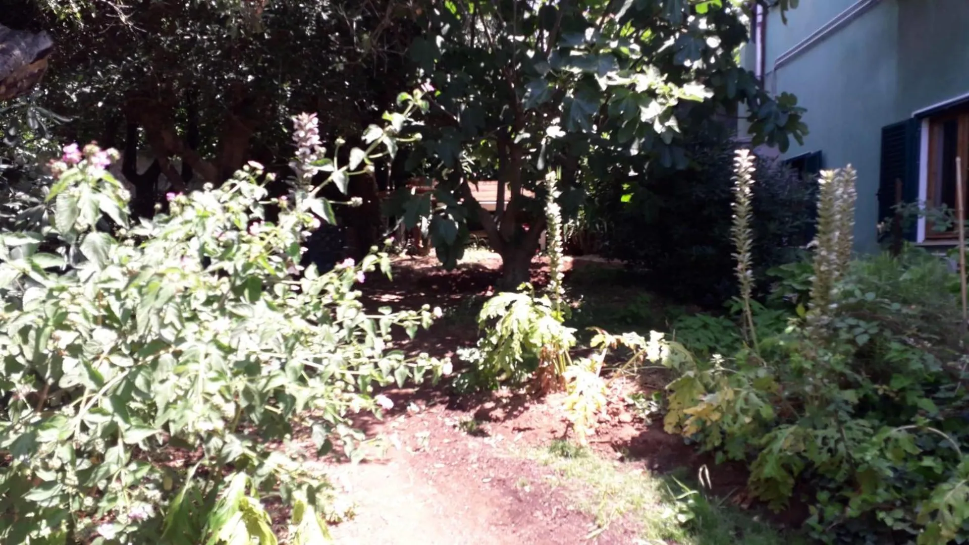 Villa A Garden On The Bay à Castiglioncello 0*,
