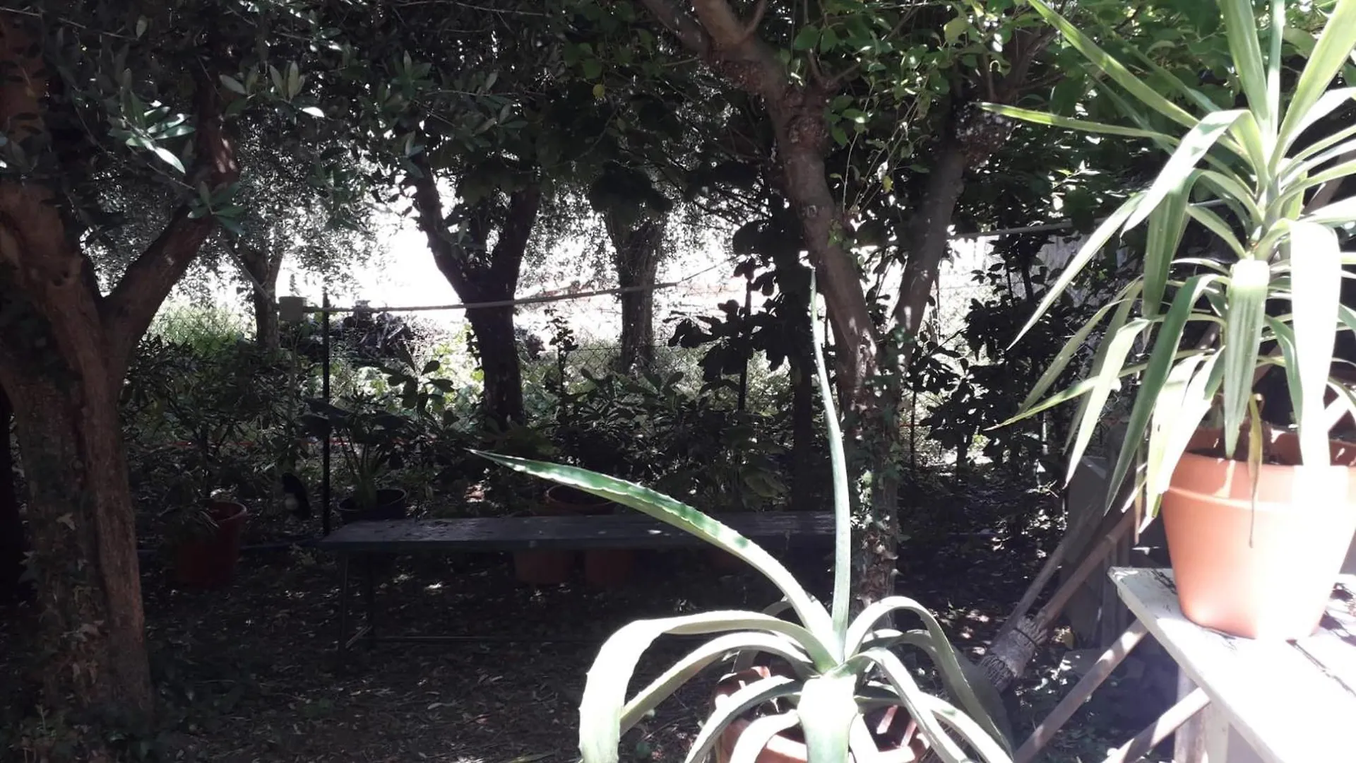 Hébergement de vacances Villa A Garden On The Bay à Castiglioncello