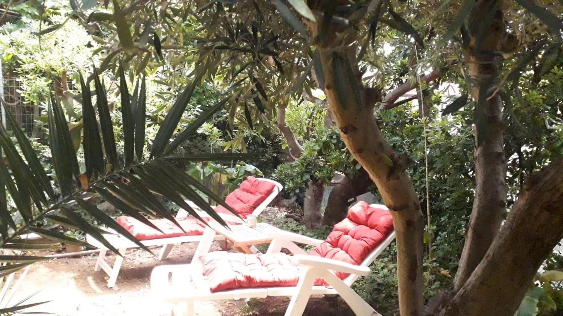 Villa A Garden On The Bay à Castiglioncello